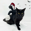 stepsin Dog Halloween Saddle Ghost Riding Costume Male Ghost Size S-M