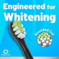 Oralica Whitening Replacement Toothbrush Heads Philips Sonicare 6 Pack Black