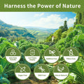 Hudetex Kale Powder 100% Pure Green Juice 12oz Vegan Dietary Fiber