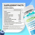 NutriVigor Glucosamine Chondroitin MSM Elderberry Gummies Blueberry 60ct