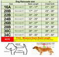 HAPEE Dog Raincoat Reflective Strip Hoodie Poncho Yellow River Size 20"