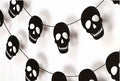 RadiantFlux Glowing Halloween Skull Flag 10Ft Green Felt Skull Banner