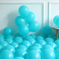 Nyvrexo Last Toast on The Coast Bachelorette Decorations Blue White Paper