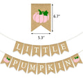 Little Pumpkin Teal Burlap Banner – Fall, Baby Shower & Birthday Decor