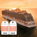 10 Pack Princess Clear Luggage Tag Holders with Steel Loops for Cruise Ships