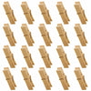 Mini Wooden Clothespins 20PCS Bamboo Clothes Pins Spring Clips Windproof