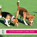 Pets&Goods Rope Dog Toys 13-Pack Durable Cotton Chew Tug Toys