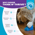 Outward Hound Gummiez Bear Dog Toy & Treat Stuffer 4.7" Blue Raspberry
