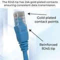 NTCFL Cat6 Patch Cable 1m Light Blue 10Gbps 250MHz Gold Plated Tips