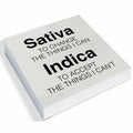 GTGIC Office Desk Sign Motivational Funny Wood Decor Multicolor 5x5 Inches