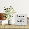 GTGIC Office Desk Sign Motivational Funny Wood Decor Multicolor 5x5 Inches
