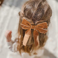 Aileam 2PCS Brown Velvet Hair Bows Large Fall Alligator Clips