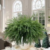 Dushle Norfolk Pine Branches 18in Artificial Greenery Stems 6 Count Green