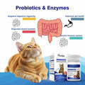 PetriTailor Probiotics for Cats Digestive Enzymes Prebiotics Gut Immune Support