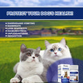 PetriTailor Probiotics for Cats Digestive Enzymes Prebiotics Gut Immune Support