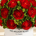Classic White Box | Red Persian Buttercups & Green Hydrangeas