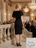 Ralph Lauren Embroidered Petal Sleeve Jewel Neck Sheath Dress, Size 8P
