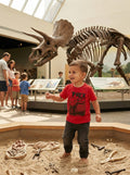 Epic Threads Toddler Boys Red T-Rex T-Shirt, Size 2T