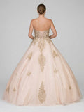 Dancing Queen Juniors Rhinestone Appliqué Gown, XL/Blush