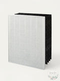 Winix 115115 Replacement Filter Set (Filter A) 4 Carbon + 1 True Hepa