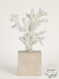 Flamant Arbol Resin Shell Stick Tree with Base