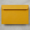 Jam Paper 9X12 envelopes 100 pack