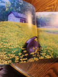 The Healthy Garden simple Steps for a greener World HB Book