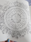 The Enchanted Forest an Inky Quest & Coloring
Book by Johanna Basford