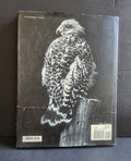 Strokes of Genius 5: Design and Composition (Strokes of Genius: The Best of Drawing