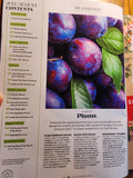 Good Housekeeping Magazine July/Aug 2024 Serve Up Summer Snack Awards