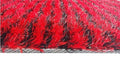 DaDa Bedding Shaggy Soft Rectangle Door Mat Bath Carpet Rug - 20" x 32", Striped Red & Black