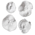 Uttermost Sea Coral Wall Art Set of 4