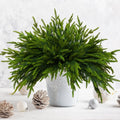 16 Pcs Norfolk Pine Branch 18in Artificial Christmas Green Plastic