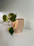 Fluted Lightweight Planter Pot