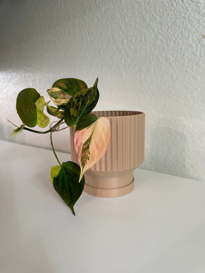 Fluted Lightweight Planter Pot