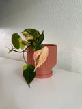 Fluted Lightweight Planter Pot
