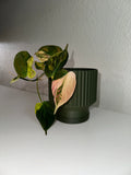 Fluted Lightweight Planter Pot
