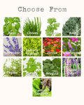 Glass Jar Semi-Hydroponic Garden Kit