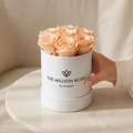 Essence White Box | Peach Roses