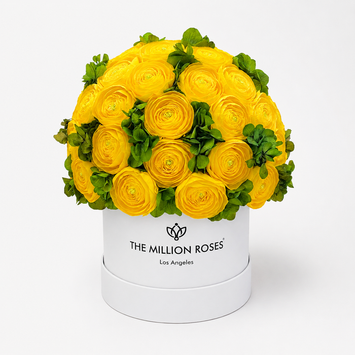 Classic White Box | Yellow Persian Buttercups & Green Hydrangeas