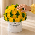 Classic White Box | Yellow Persian Buttercups & Green Hydrangeas