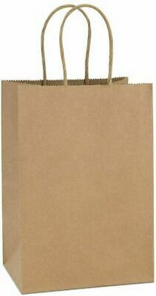 Pack of 100 Kraft Paper Shopping Bags - 8 x 4 1/2 x 10 1/4