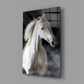 Flowing Mane White Stallion Glass Wall Art