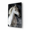 Flowing Mane White Stallion Glass Wall Art