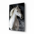 Flowing Mane White Stallion Glass Wall Art