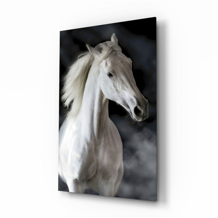 Flowing Mane White Stallion Glass Wall Art