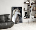 Flowing Mane White Stallion Glass Wall Art
