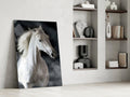 Flowing Mane White Stallion Glass Wall Art